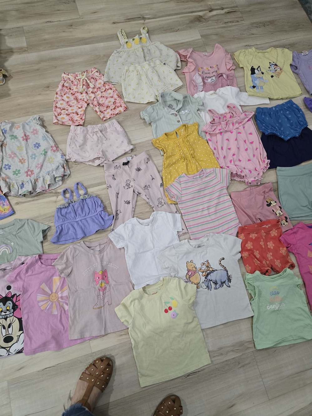 Assorted Toddler Girl Clothes (69 Pieces)